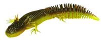 Savage Gear Ned Salamander - Zwart/Blauw 7,5 cm