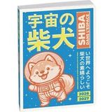 Exacompta Schoolagenda Collection Manga Espace Septembre 2026 tot Septembre 2027 12 x 17 cm