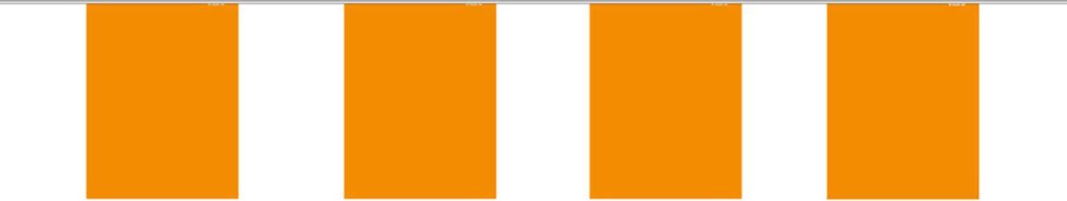 Folat Slinger Mini Oranje - 4 Meter