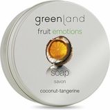 Greenland Fruit Emotions Coconut-Tangerine Hand Soap 100 ml