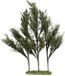 Luville 2026 Luville - Tree Dark Green - 30cm