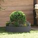 vidaXL Plantenring - 5 stuks - Zwart - 80 x 80 x 20 cm - Koudgewalst staal