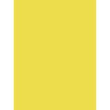 Clairefontaine 384515C - Pakket van 25 Vellen Geschilderd 60x80cm 90g