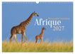 Afrique Calvendo Afrique - Photographie animalière (Calendrier mural 2027 DIN A3 vertical), CALVENDO calendrier mensuel