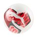 PUMA individualLIGA Grafische bal