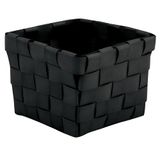 MSV Mand, Zwart, Unieke Grootte