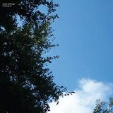 Konkurrent Cloud Nothings Turning On (LP) (10th Anniversary Edition) (Limited Edition) (Coloured Vinyl)
