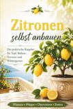 Zitronen Zitronen erfolgreich pflanzen, pflegen und ernten
