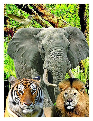 Riviera Games P3D04 puzzel 3D-48 stuks-de dieren, multi-kleuren