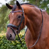 Qhp Hoofdstel Qhp Orlando Zwart