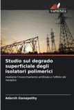 Studio OmniScriptum SRL Studio sul degrado superficiale degli isolatori polimerici