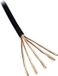 BKL Electronic 1509016/10 Audiokabel 6 x 0.08 mm² Zwart 10 m