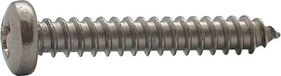 Elcee Plaatschroef cilinderkop phillips RVS A2 4.2 x 60mm