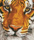 Diamond Dotz Bengal Magic - Diamond Painting - 18.250 Dotz - 42x36 cm