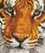 Diamond Dotz Bengal Magic - Diamond Painting - 18.250 Dotz - 42x36 cm