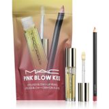 MAC Cosmetics Icecat Kits