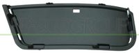 PRASCO Lüftungsgitter, Stoßfänger BM7022104 unten | Compatibel met: BMW X1