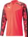 Puma individualFINAL WC 1/4 Zip Sweatshirt Hommes - Taille XL