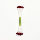 PME STAM03BG Burgundy,White Cotton