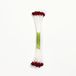 PME STAM03BG Burgundy,White Cotton