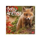Legami Wandkalender 2025, grote wandkalender 30 x 29 cm, 12 maanden en jaarplanner, ruimte voor notities en notities, 6 talen, sterrenbeelden en internationale feestdagen, babydieren