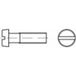 TOOLCRAFT TO-5445327 Vis à tête cylindrique M1.4 6 mm Fente DIN 84 Laiton 100 pièce(s)