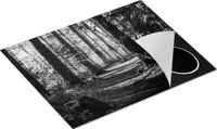 Chefcare Inductie Beschermer Voetpad in het Bos - Zwart Wit - 65x55 cm