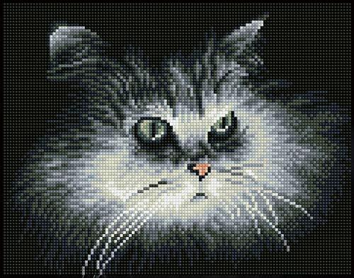 Diamond Dotz DQ7-002 Squares Shadow Cat, ca. 25 x 32 cm groot, Diamond Painting-schilderen met diamanten, fonkelende afbeelding om zelf vorm te geven, voor kinderen en volwassenen, kleurrijk