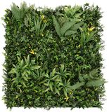 MonsterShop Ayla Kunstplanten wandpaneel - 100 x 100 cm - Groen