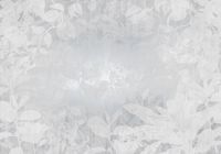 Komar Fotobehang - Flora 400x280cm - Vliesbehang