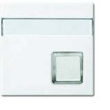 Busch-Jaeger Centrale plaat met tekstveld Busch-Infoline® schakelaar/knop 1-voudig alpinewit - Busch-balance® SI (1571 CN-914)