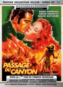 SIDONIS le passage du canyon - blu-ray + dvd