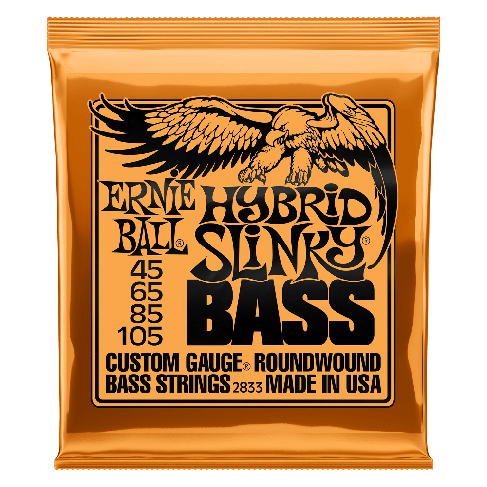 Ernie Ball P02833