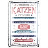 Nostalgic-Art Metalen Retro Bord, Katzen beneiden – Geschenkidee voor kattenbezitters, van metaal, Vintage ontwerp voor decoratie, 20 x 30 cm