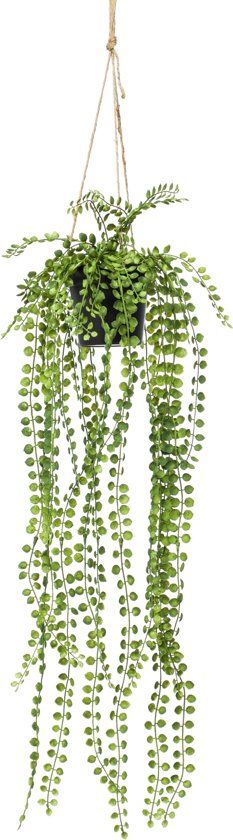 Cozy Ibiza Ficus hangplant - groen - 50 cm - polyester