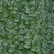 TENAX Divy Laurus Pro 150 x 2000 cm, groen, synthetische heg