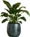 Mica Decorations Plantenpot - keramiek - donkerblauw glans / ribbels - D31 x H32 cm