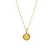 Lucardi Dames Stainless steel ketting met medaillon met zirkonia voor dames - Ketting - Staal - Goudkleurig - 50 cm
