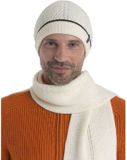 Icebreaker Waypoint Merino Muts Beige Man
