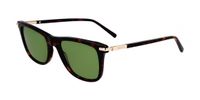 Salvatore Ferragamo SF2028S Dark Tortoise/Green Unisex Zonnebril