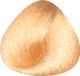 Toujours Trend Color 9.33 Very Light Intense Golden Blonde