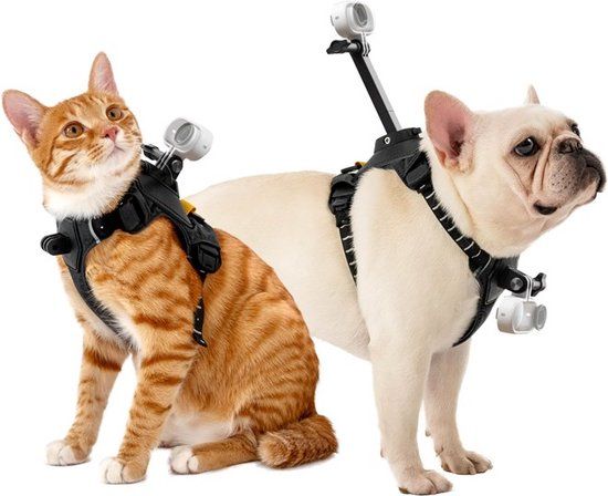 Insta360 Pet Harness Mount - Size M - Universal Instructions