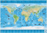 COLUMBUS Kinderweltkarte Welt der Wale