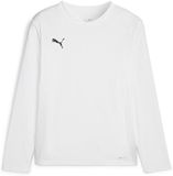Puma TeamGoal-shirt met lange mouwen voor kinderen Jr 705751