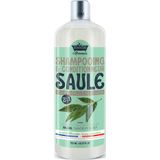 Les Petits Bains de Provence Saule 2-in-1 shampoo en conditioner, 700 ml
