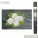 Urban Living "MON JARDIN" toile de paillage 0,5 x 10 m 80 g/m²