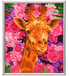 Crystal Art Diamond Painting Foto met Lijst Giraffe & Flowers 21 x 25 cm