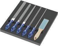 Wera 05150183001 Vijlenset, 6-delig 9783 schuimrubberen inlegstuk Pferd vijlen Set 1 Lengte 405 mm 1 stuk(s)