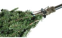 Evergreen - PGTG50P3B20Y01 - Kunstkerstboom Sherwood spar | Incl. leds