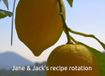 Jane's Yummy Not Yucky Recipes
